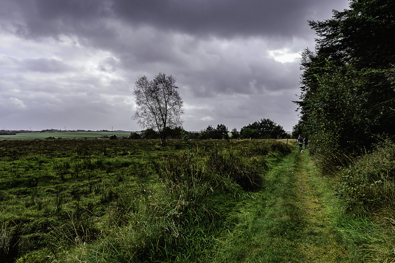 Weite Landschaft