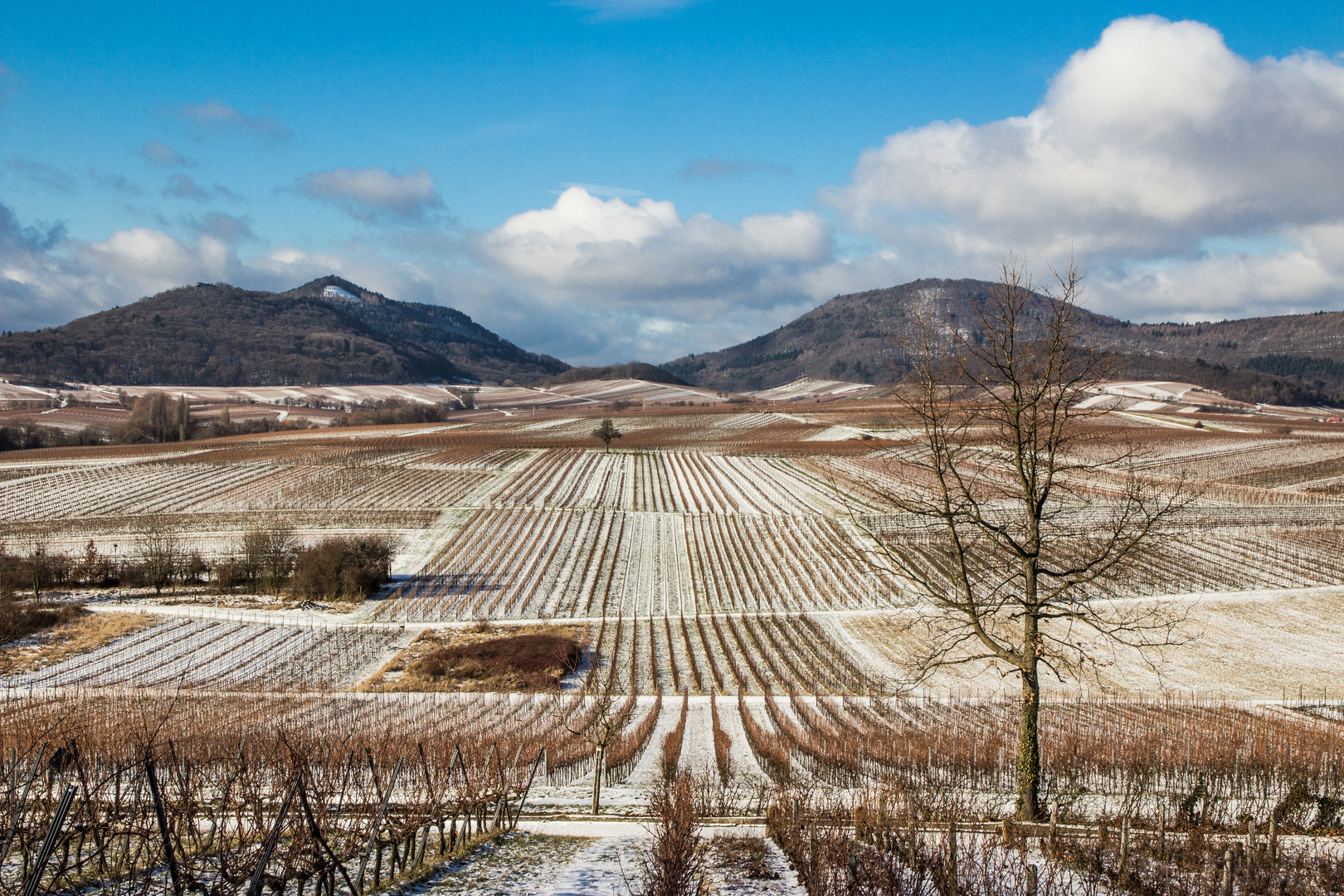 Weite Landschaft