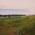 Weite (Landschaft an der Loire bei St. Benoir)