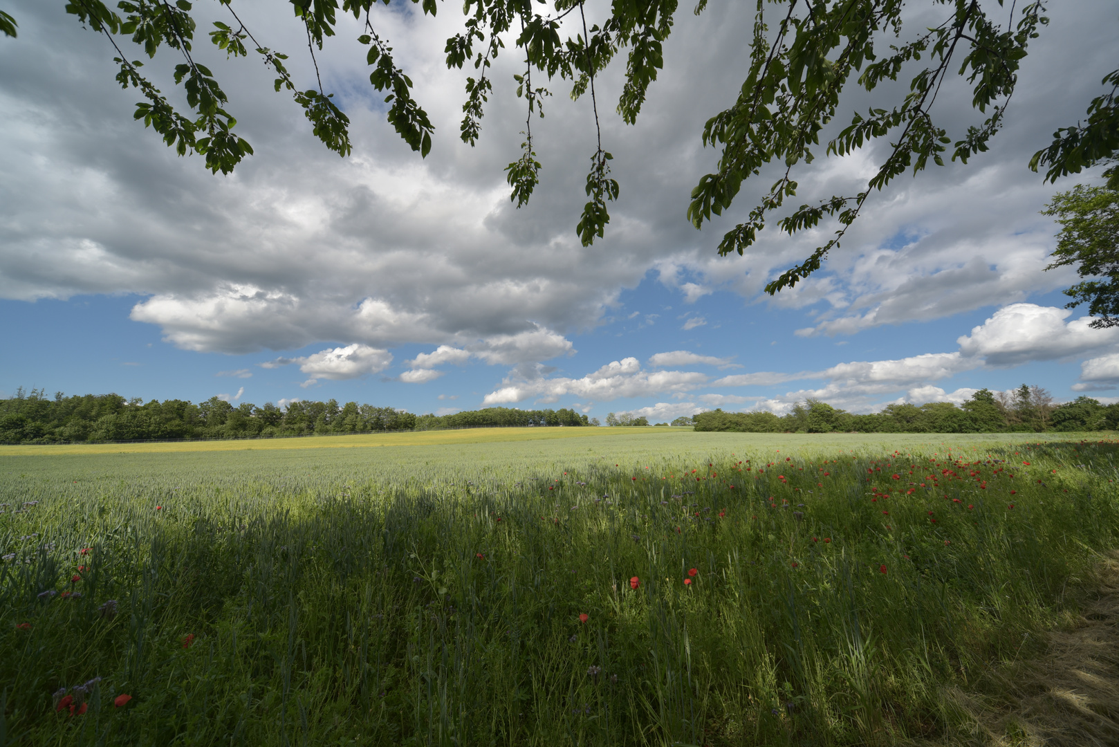 Weite Landschaft