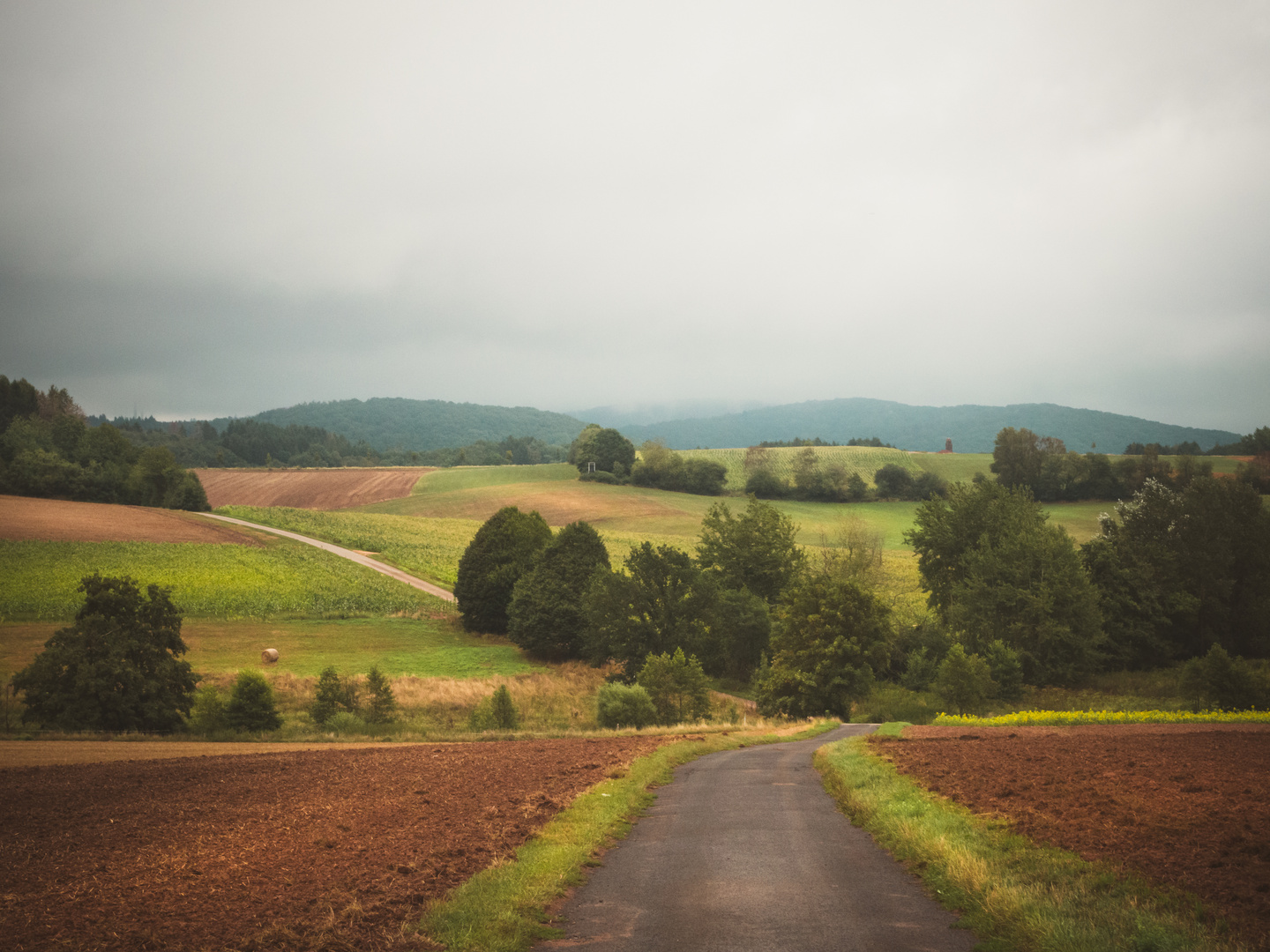 Weite Landschaft