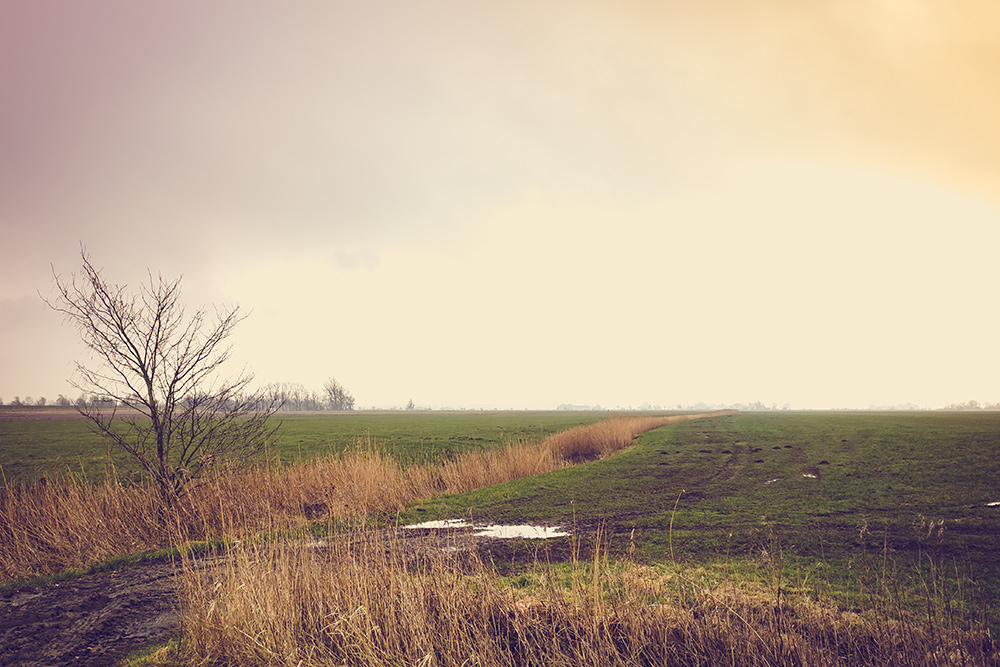 Weite Landschaft