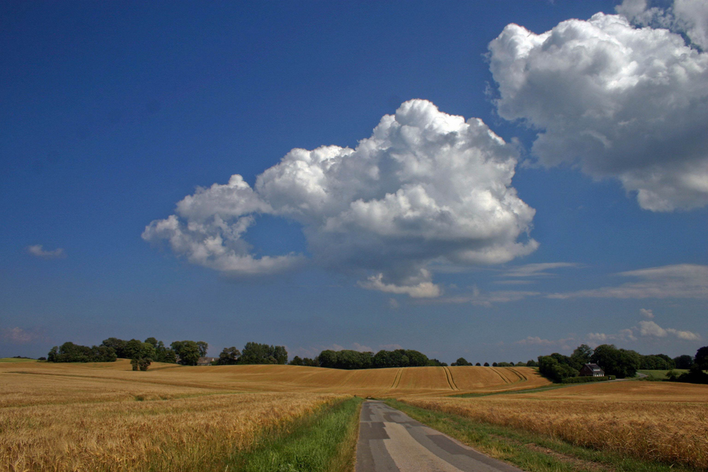 weite Landschaft