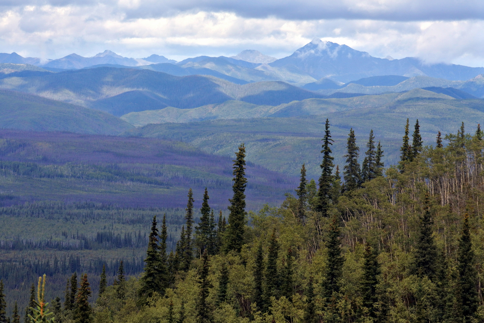 Weite Landschaft im Yukon Terretorium