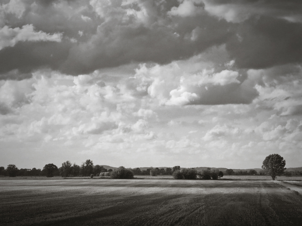 weite Landschaft in Märkisch-Oderland