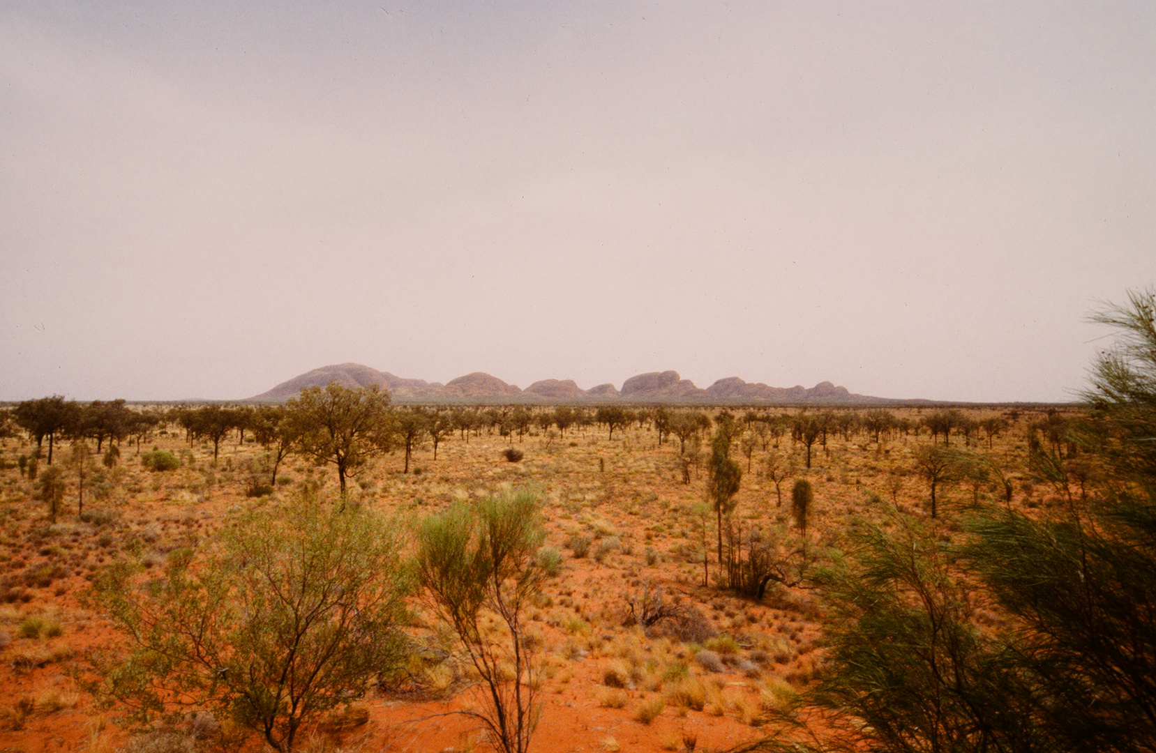 weite Landschaft - Kata Tjuta (NT; Australien)