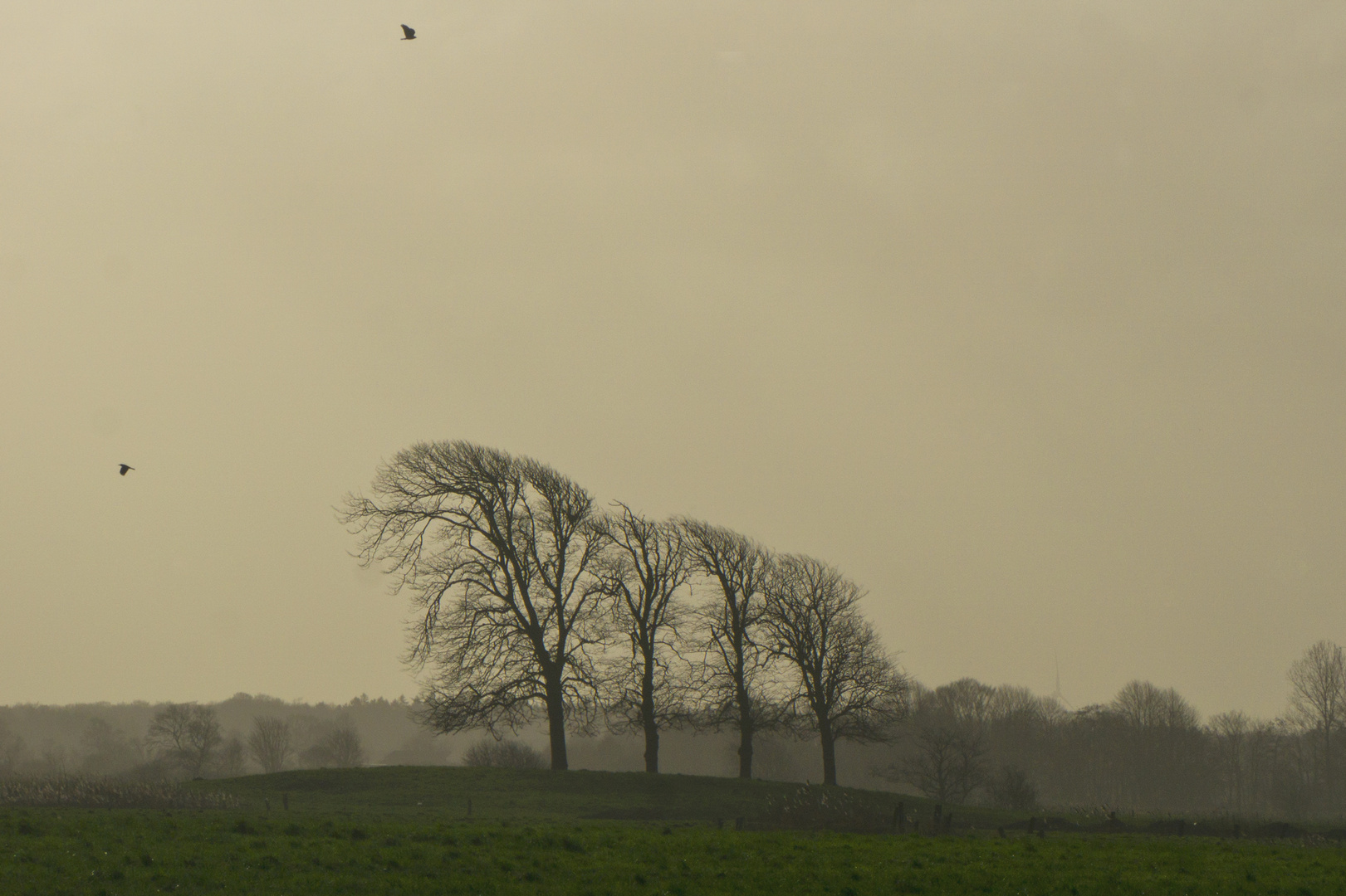 weite Landschaft Ostfriesland mit alter Warft in der Marsch