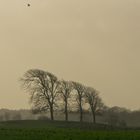 weite Landschaft Ostfriesland mit alter Warft in der Marsch