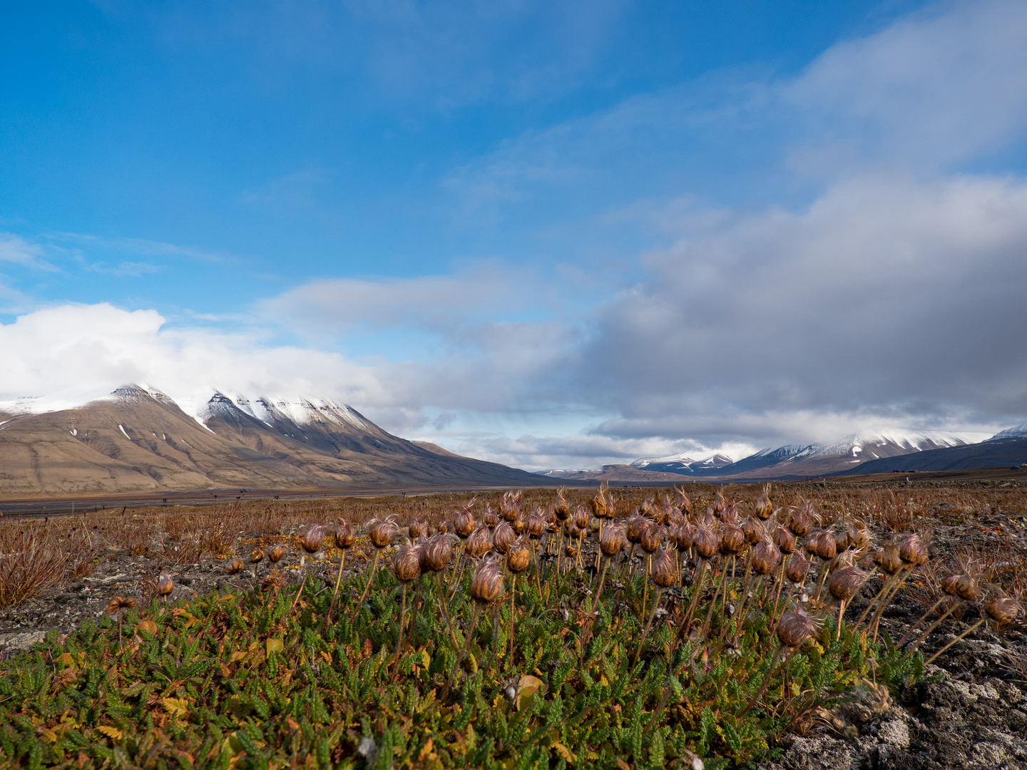 Weite Landschaft, Tundra Spitzbergen