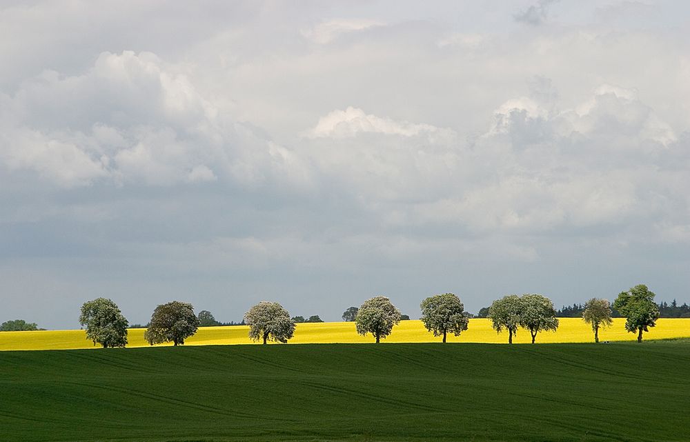 Weite Landschaften.... #2