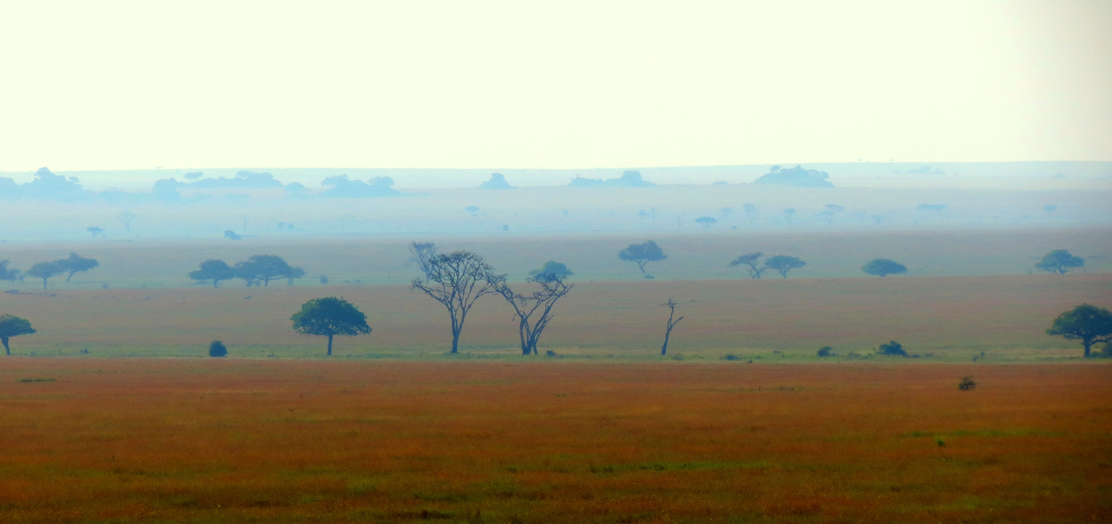 Weite Serengeti