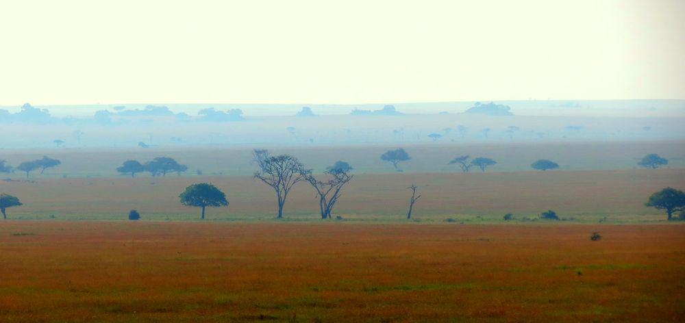 Weite Serengeti