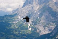 Weite - über der kleinen Scheidegg