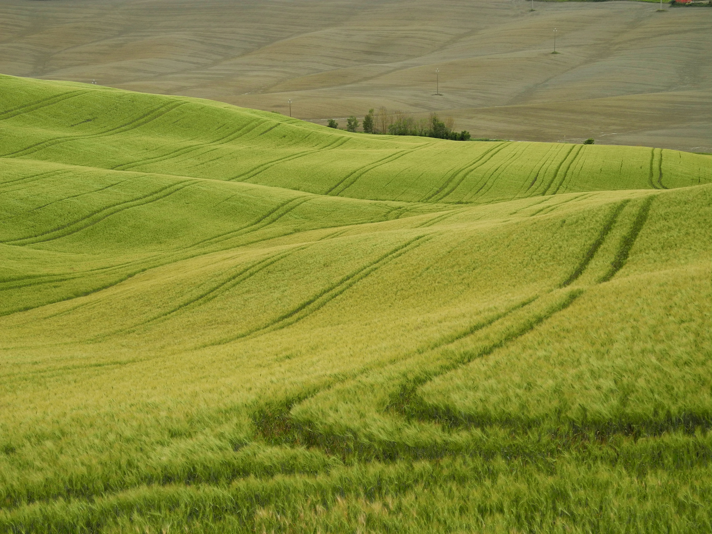 Weite und Wind