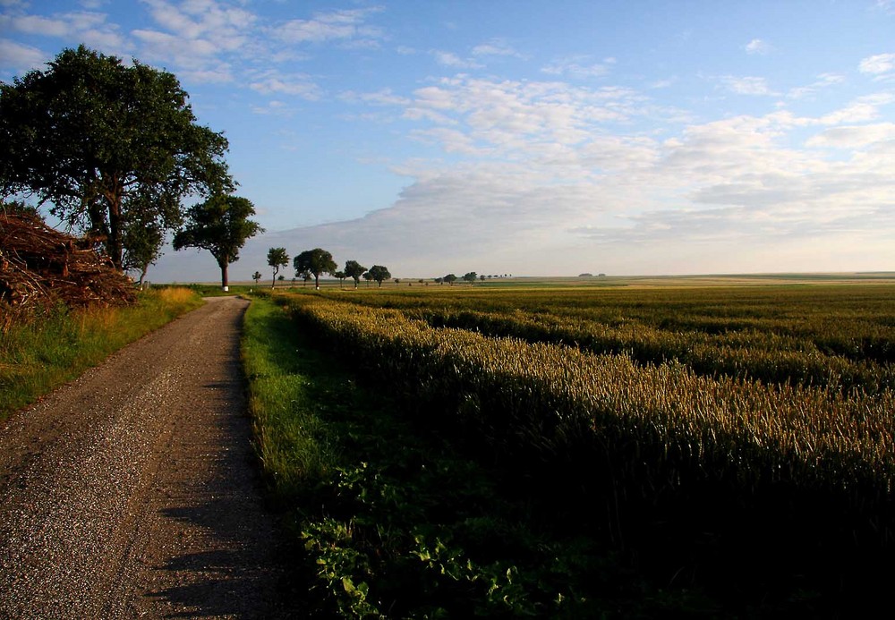 Weiten des Weinviertels