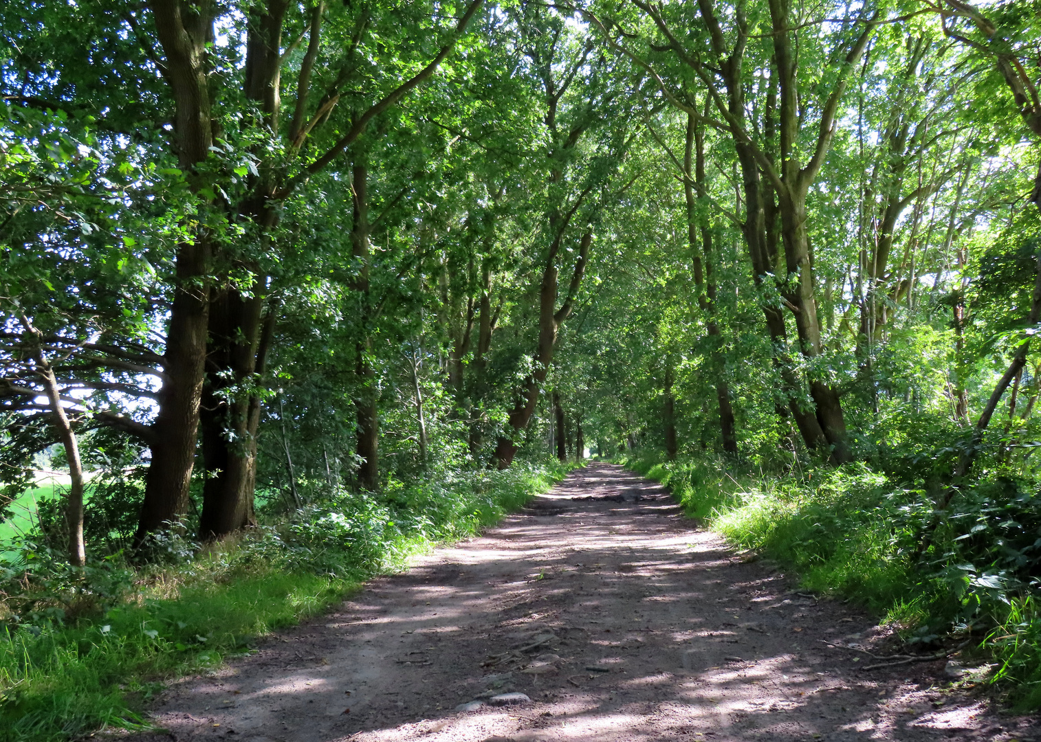 weiter auf dem Weg in Hechthausen 