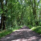 weiter auf dem Weg in Hechthausen 