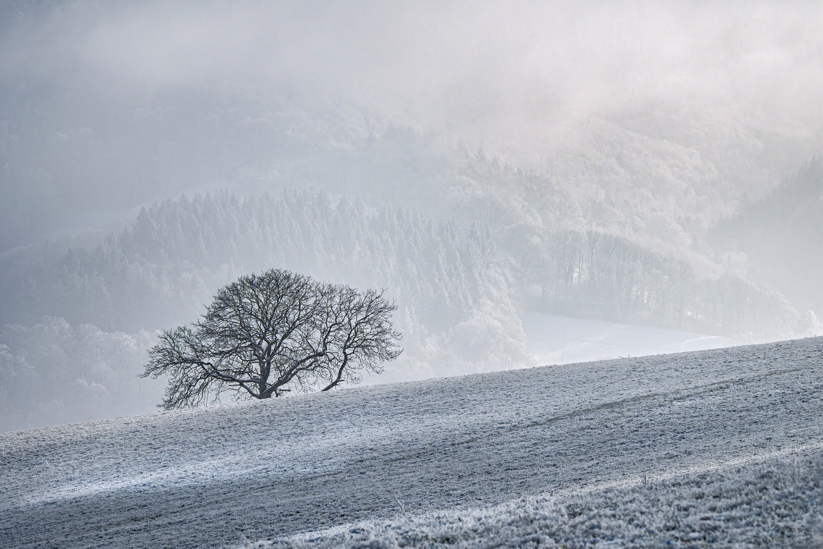 weiter Blick