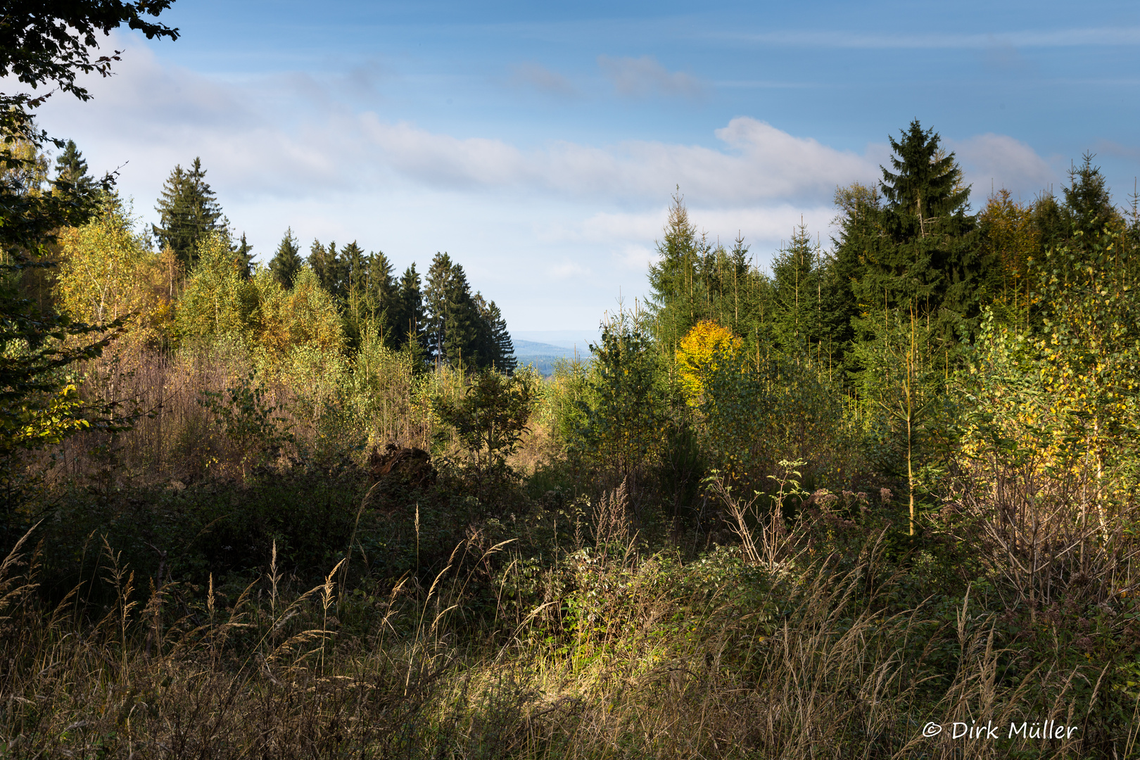 weiter Blick auf die Rhön