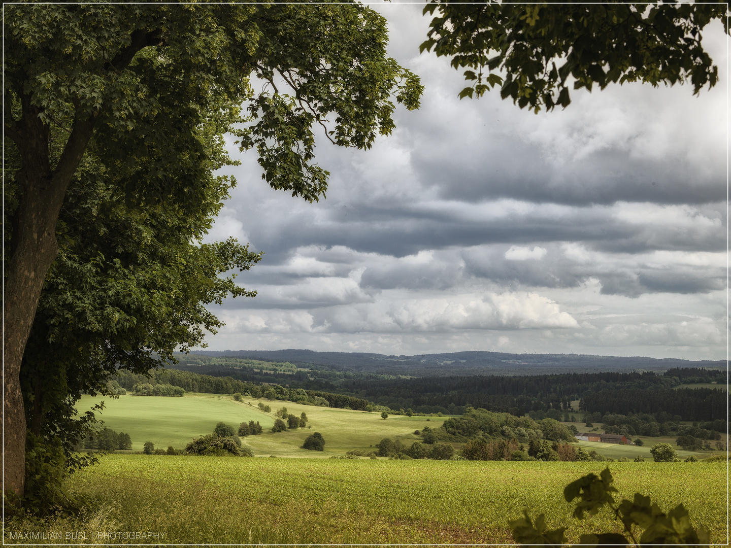 Weiter Blick