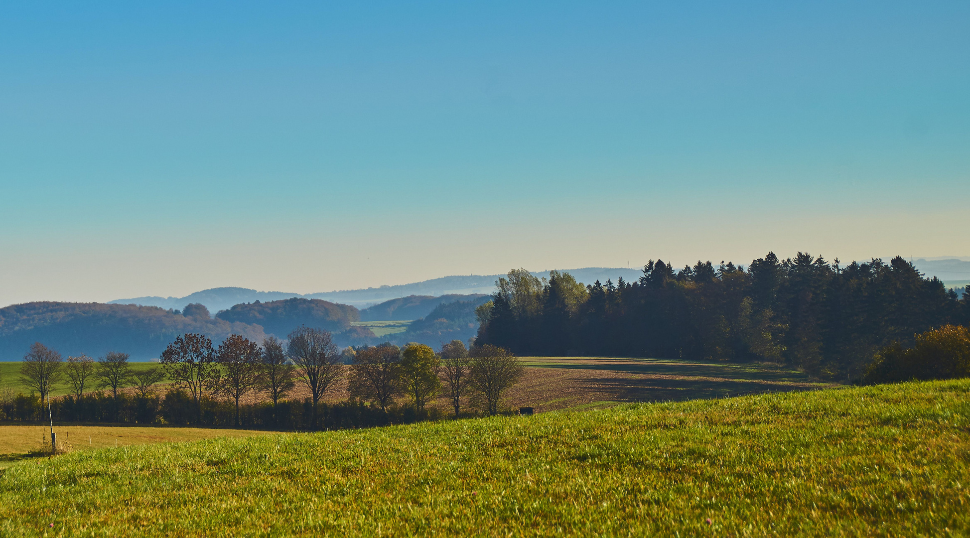 Weiter Blick