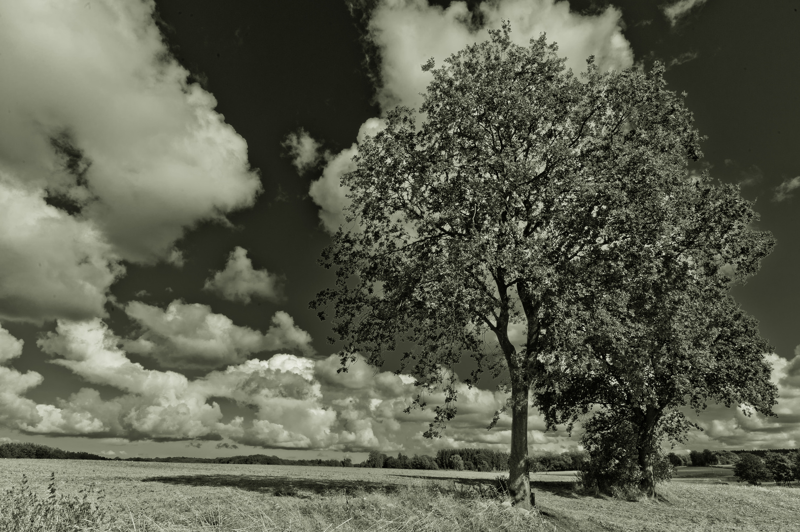 weiter Blick - flaches Land