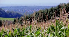 Weiter Blick ins Bergische Land