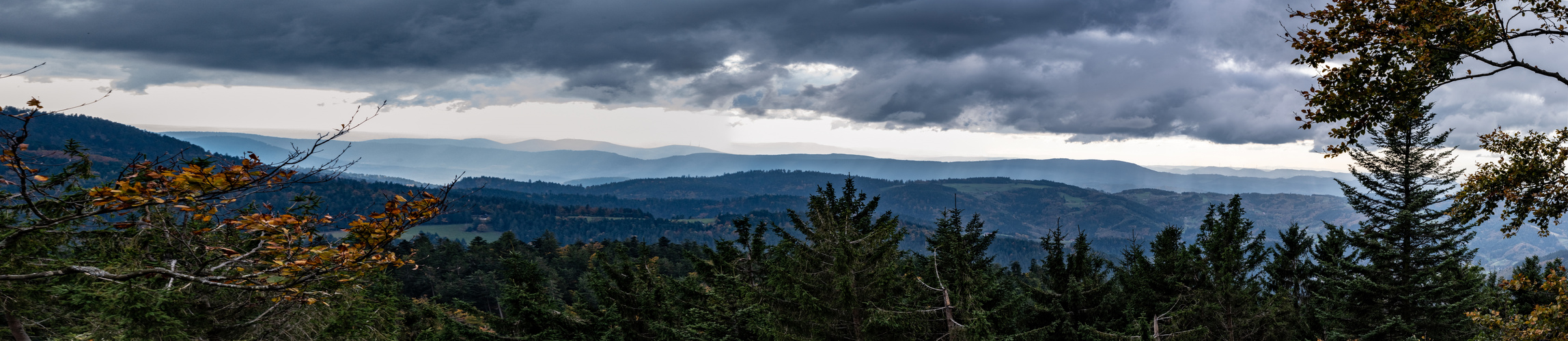 weiter Blick über den Schwarzwald