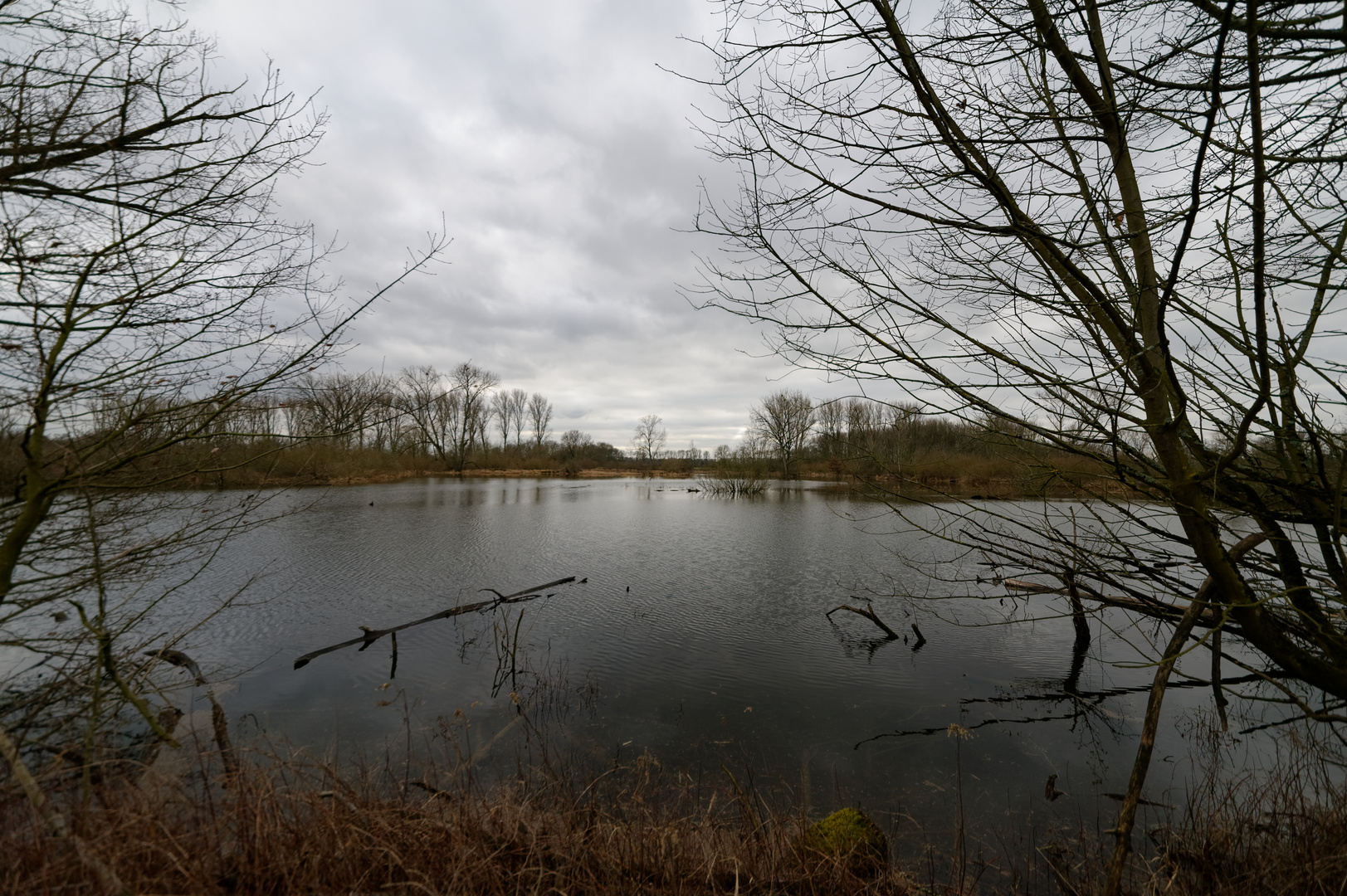 Weiter Blick über die überflutete Rheinaue (2020)