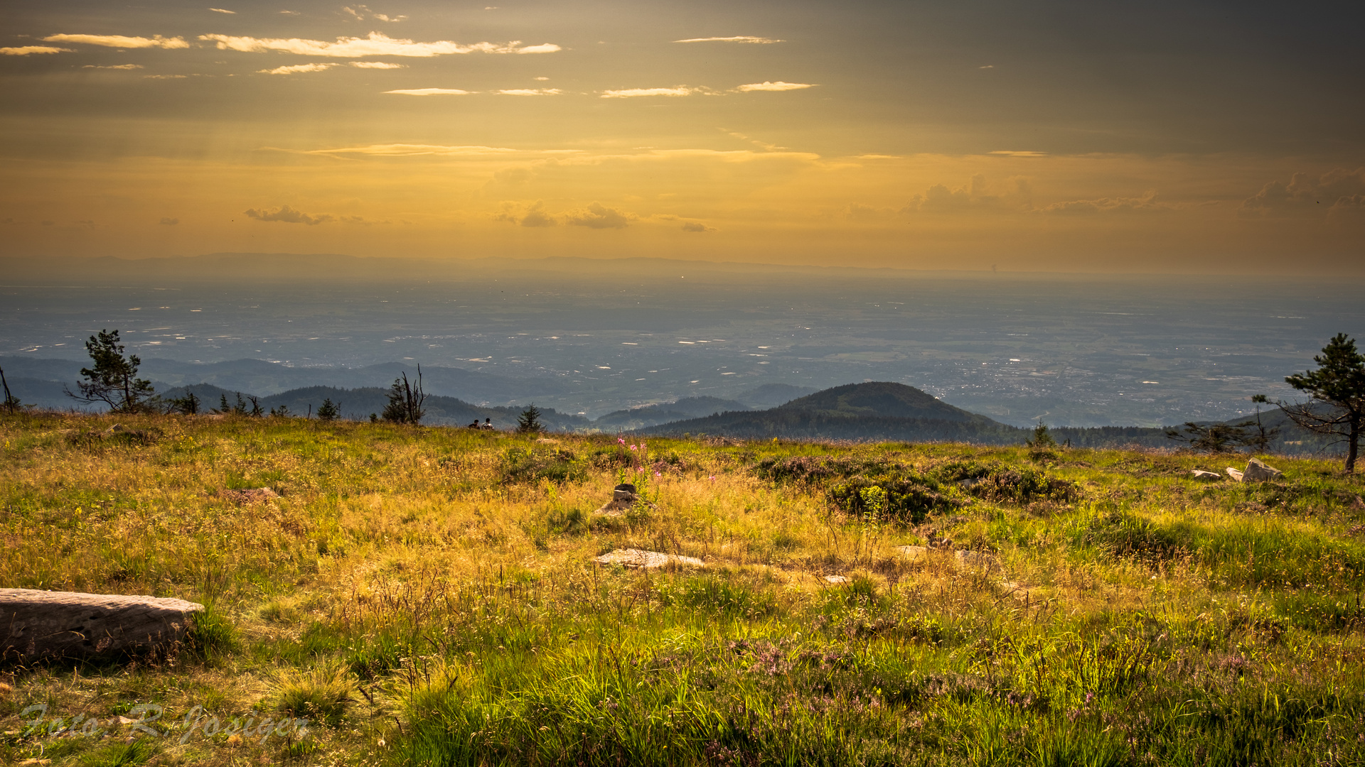  Weiter Blick von der Hornisgrinde