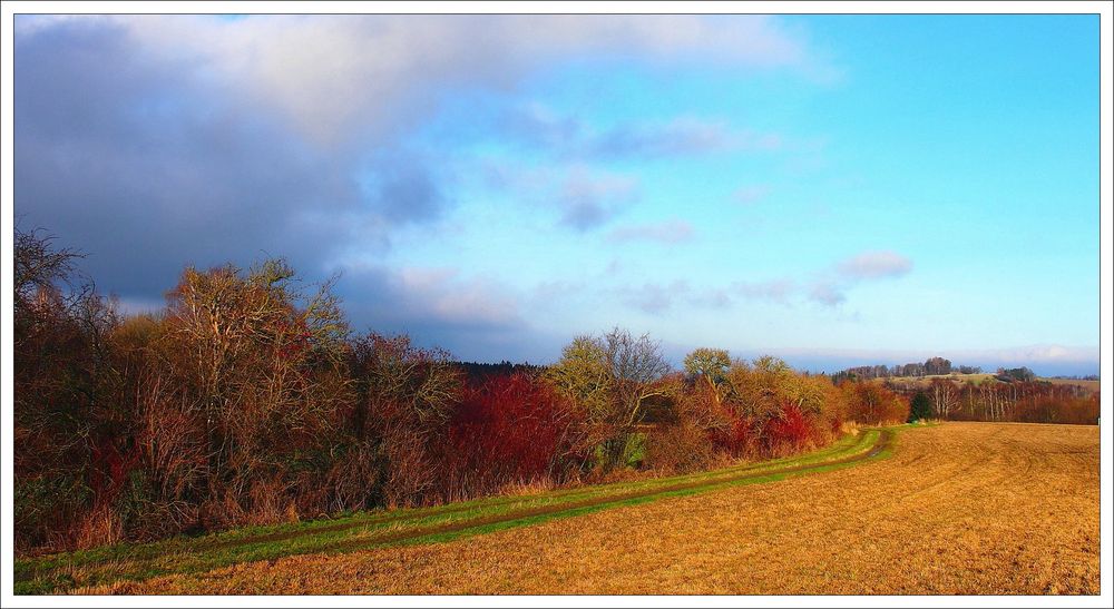 Weiter Blick zur "Heimatliebe"