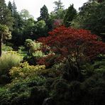 weiter geht der Rundgang durch die Powerscourt Gardens, Wicklow Mountains