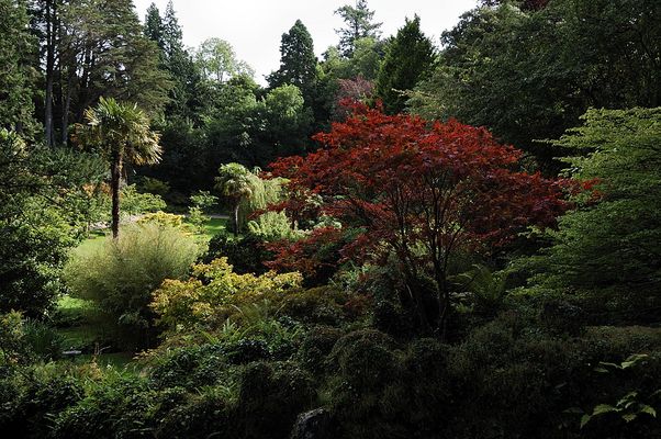 weiter geht der Rundgang durch die Powerscourt Gardens, Wicklow Mountains
