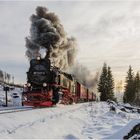 Weiter geht die Fahrt