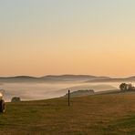 Weiter geht es mit Serie vom 11.09.19, schöner kann der Tag nicht beginnen.