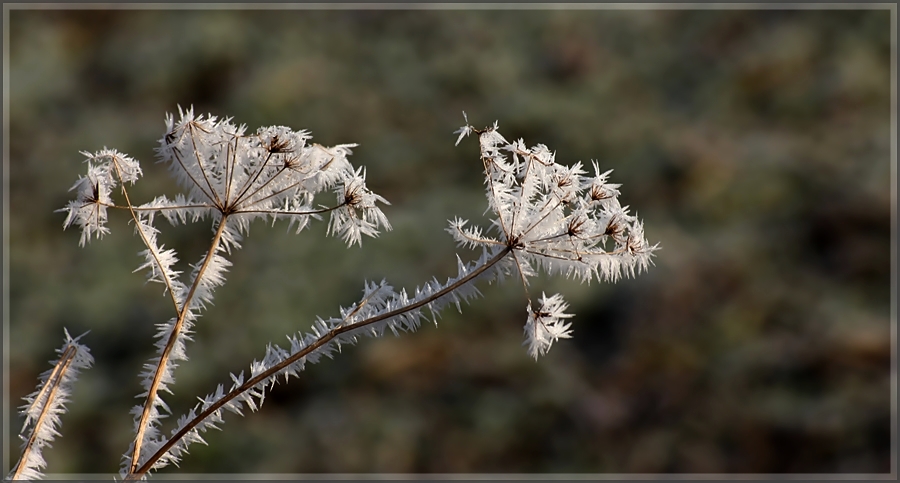 Weiter geht`s ...