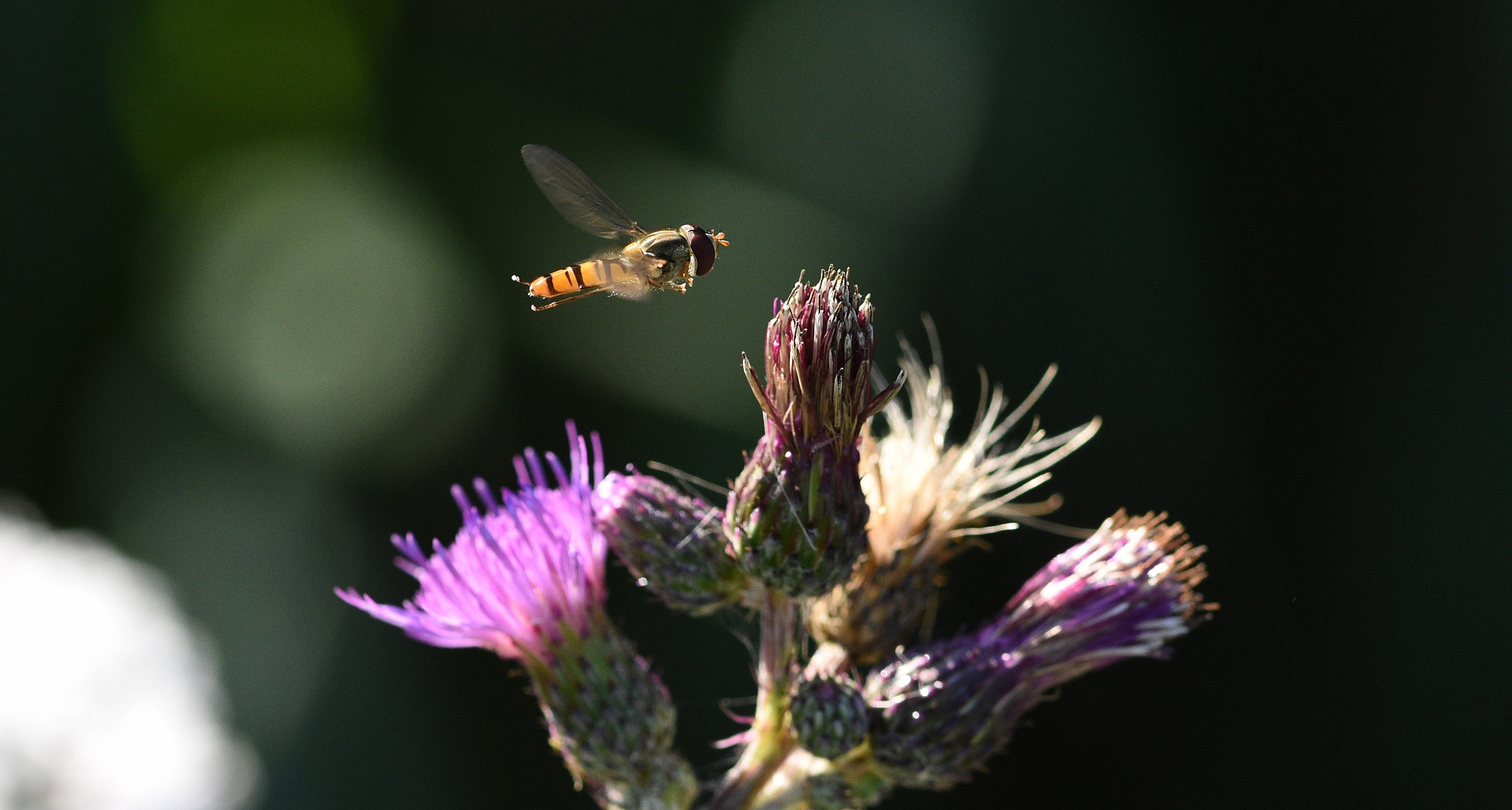 Weiter geht´s...