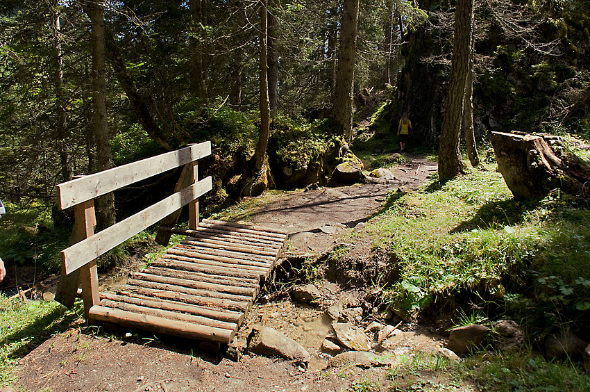 weiter gehts zur Alm