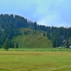 weiter ins Schwarzwassertal hinein