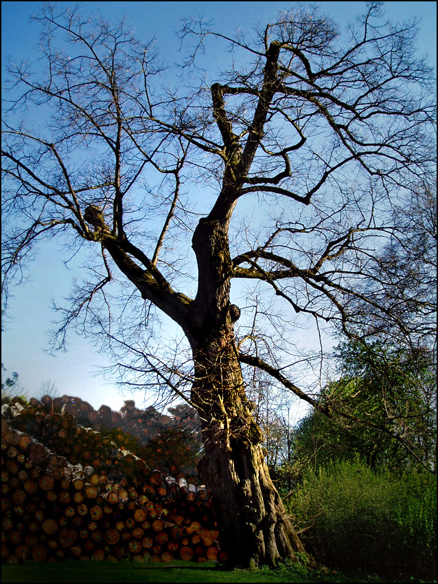 -weiter-leben-leben-leben.......