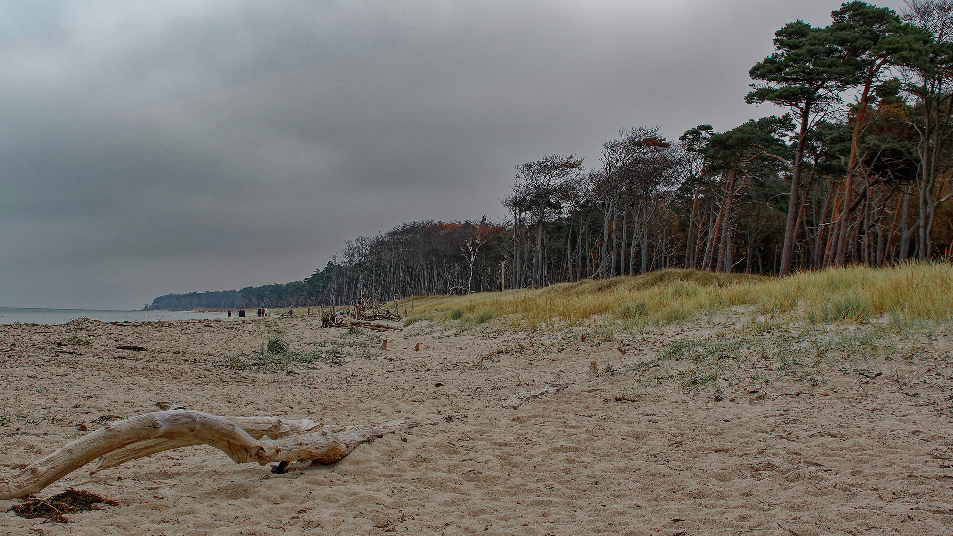 weiter strand - naturbelassen