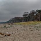 weiter strand - naturbelassen