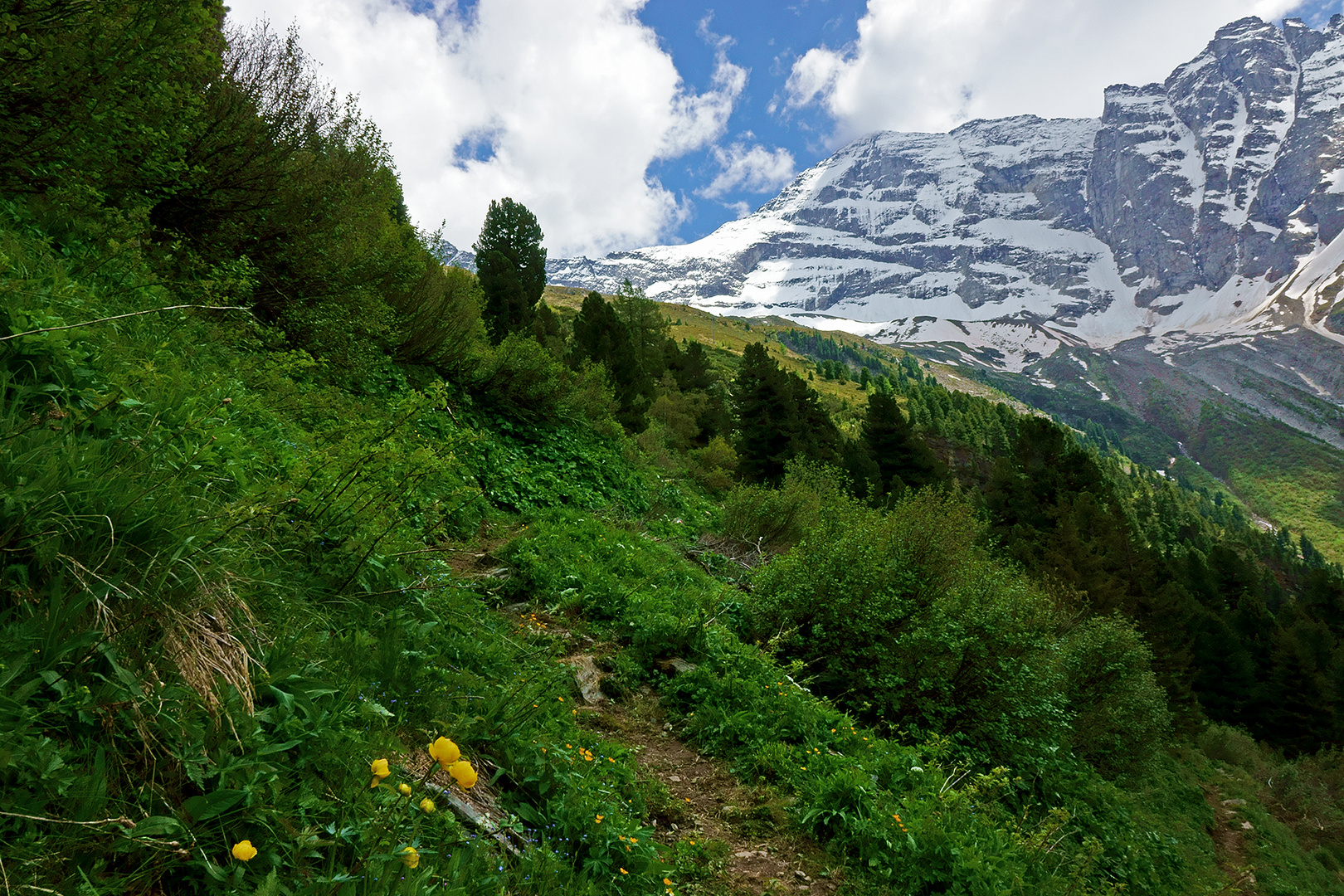 weiter unter säumen noch Dotterblumen den Weg