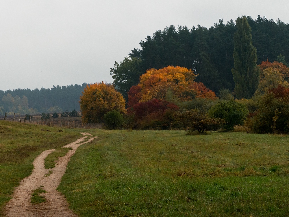 Weiter voran in den Herbst