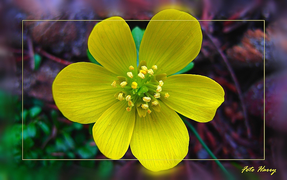 Weiter warten auf den Frühling !!!.