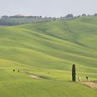 Weiter Weg in weitem Land - Toscana