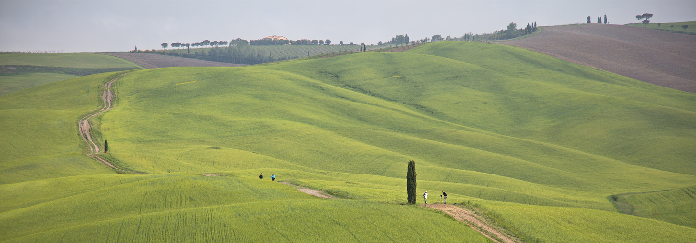 Weiter Weg in weitem Land - Toscana