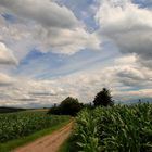 Weiter Wolkenhimmel