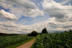 Weiter Wolkenhimmel