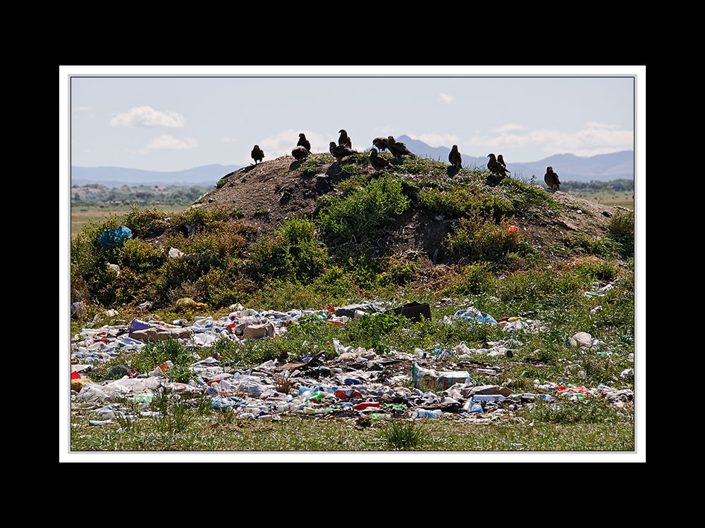 Weiter zum Hustai-Nationalpark 03